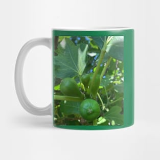 Fruit Mug